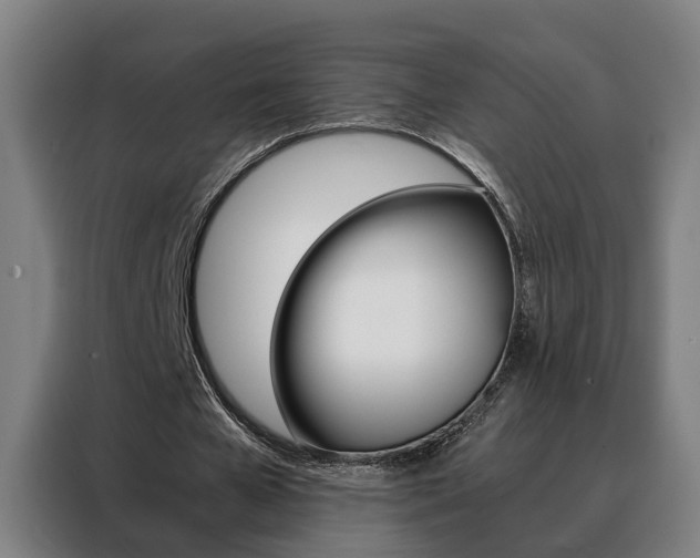 X0000088440577200705220916