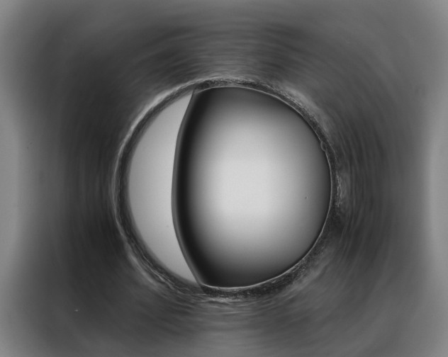 X0000088440580200705220916