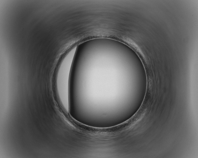 X0000088440581200705220916