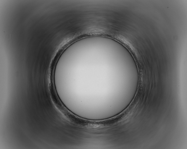 X0000088440582200705220916