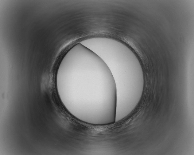 X0000088440583200705220916