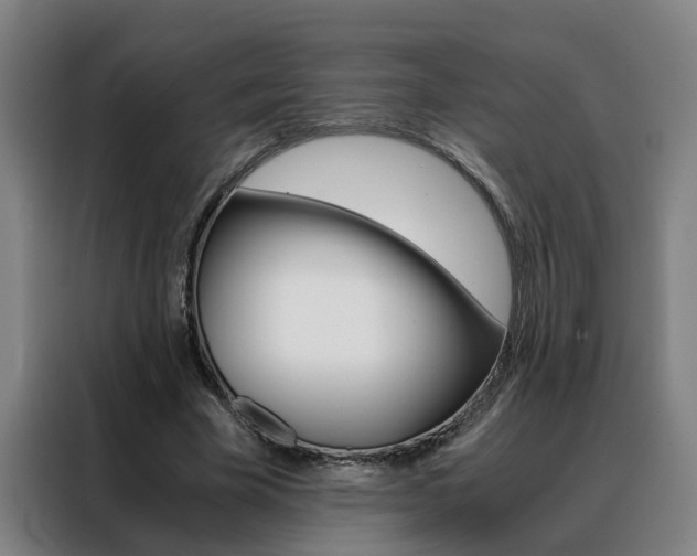 X0000088440585200705220916
