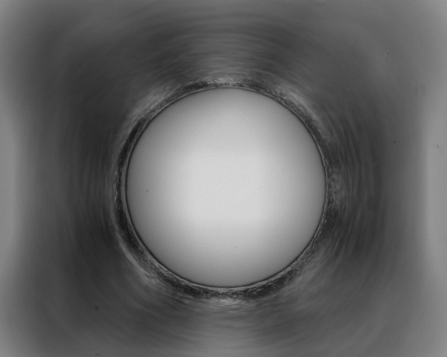 X0000088440586200705220916