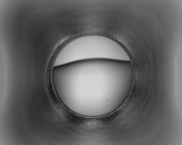 X0000088440587200705220916