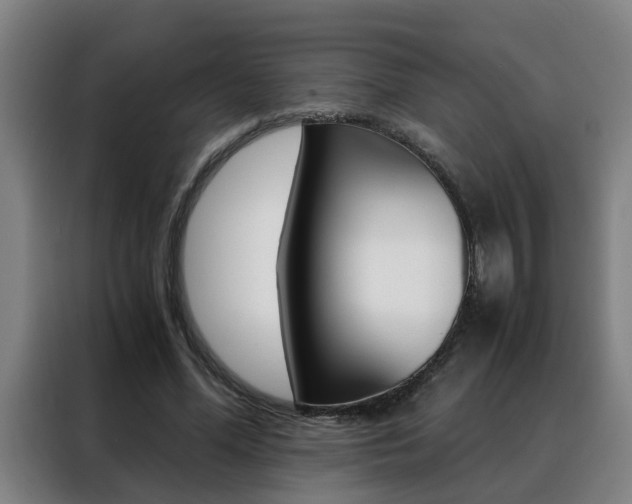 X0000088440588200705220916