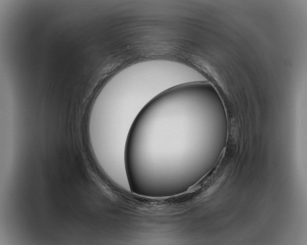 X0000088440589200705220916