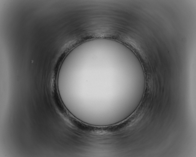 X0000088440590200705220916