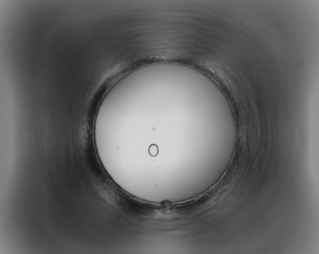 X0000088440591200705220916