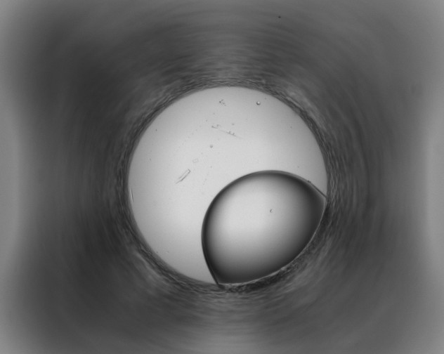 X0000088440593200705220916