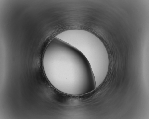 X0000088440595200705220916