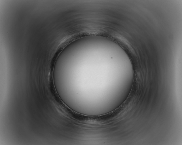 X0000088440596200705220916