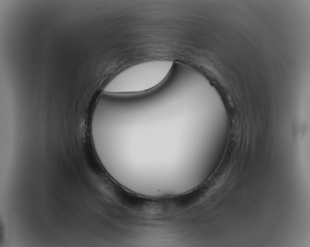 X0000088440597200705220916