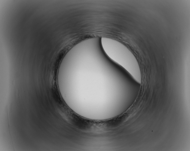 X0000088440599200705220916