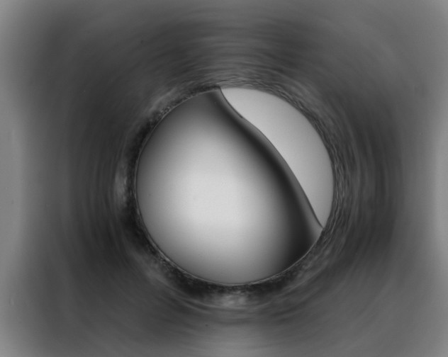 X0000088440600200705220916