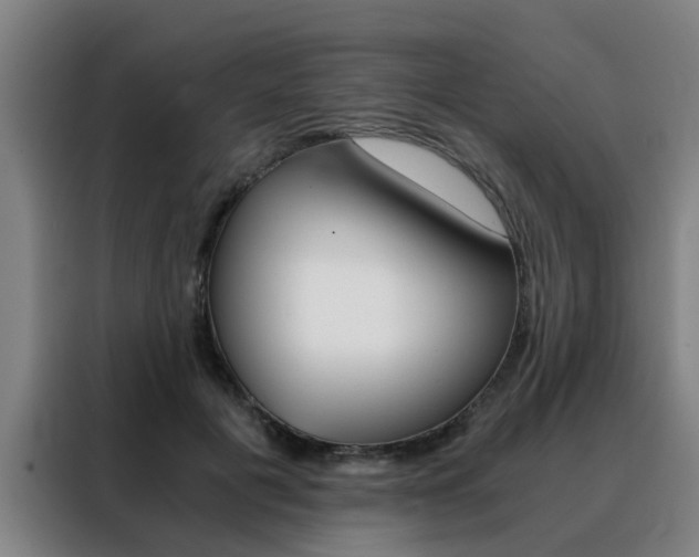 X0000088440601200705220916