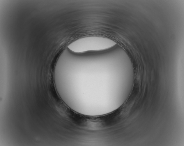 X0000088440603200705220916
