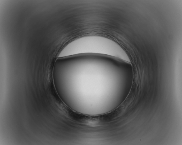 X0000088440604200705220916