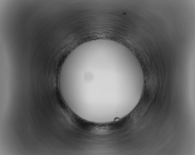 X0000088440606200705220916