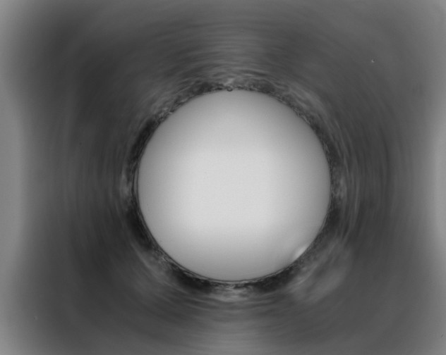 X0000088440607200705220916