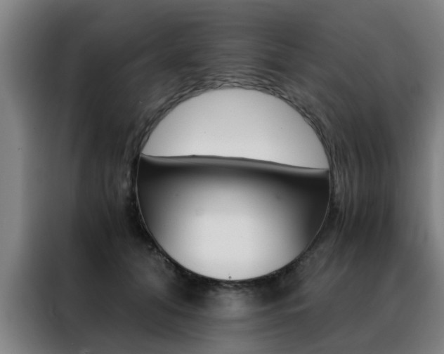 X0000088440608200705220916