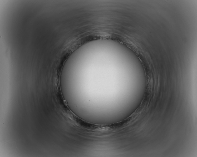 X0000088440609200705220916