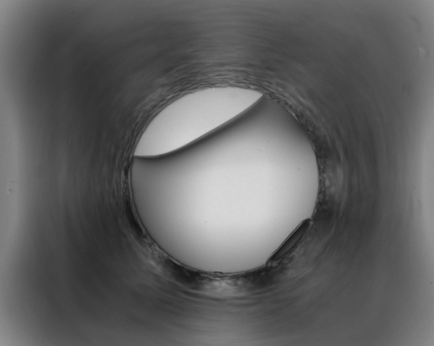 X0000088440611200705220916