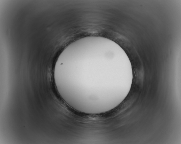 X0000088440612200705220916