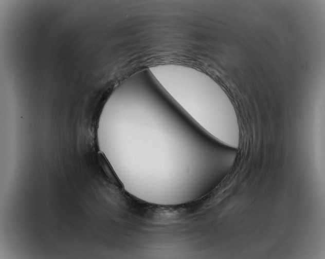 X0000088440613200705220916