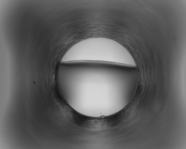 X0000088440615200705220916