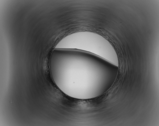 X0000088440616200705220916