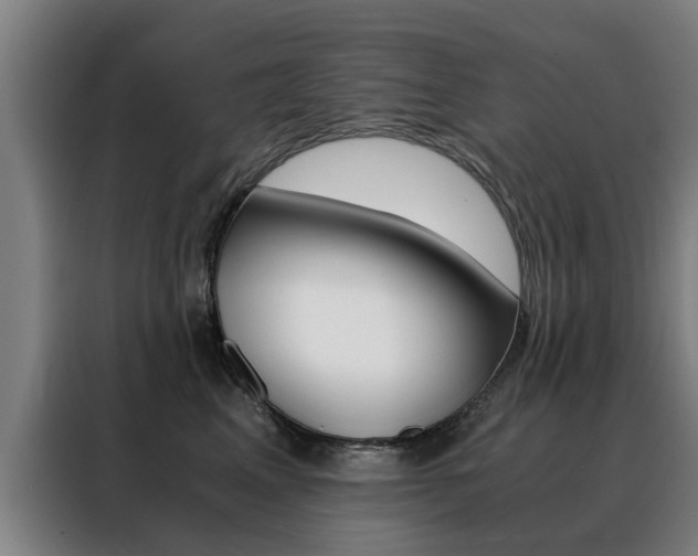 X0000088440617200705220916