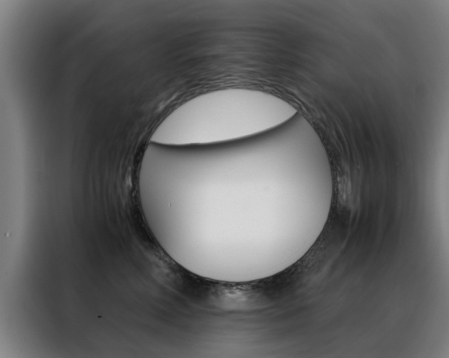 X0000088440618200705220916