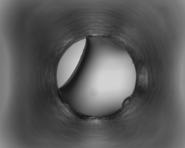X0000088440620200705220916