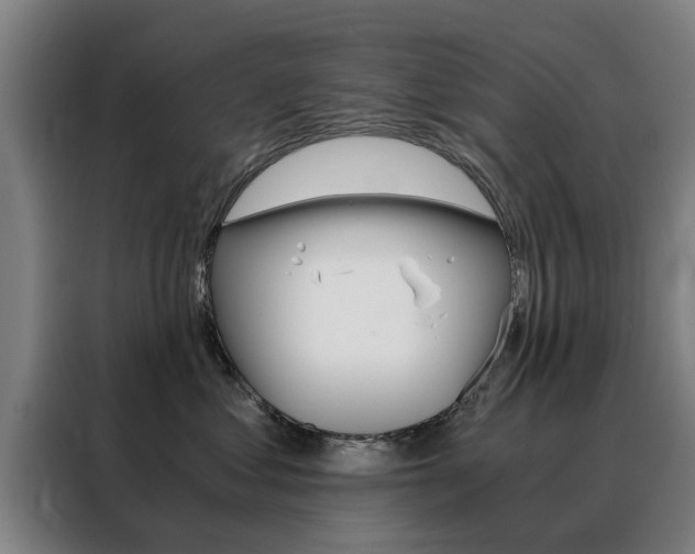 X0000088440621200705220916