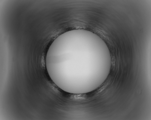 X0000088440622200705220916