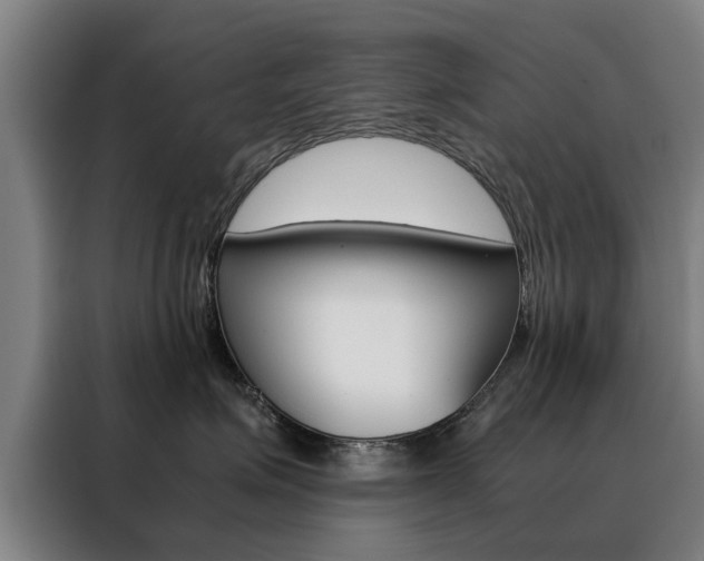 X0000088440623200705220916