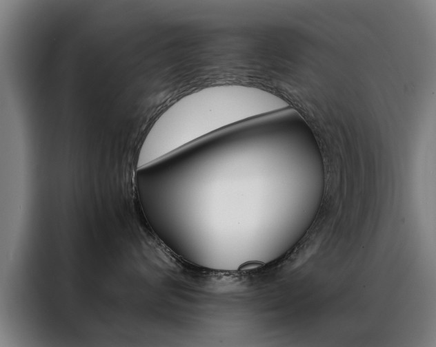 X0000088440624200705220916
