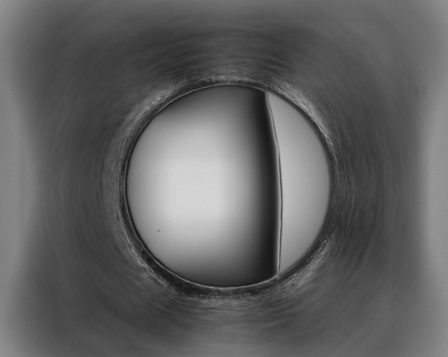 X0000088440625200705220915
