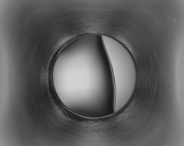 X0000088440626200705220915