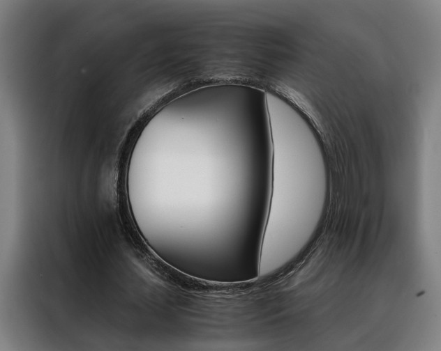 X0000088440627200705220915