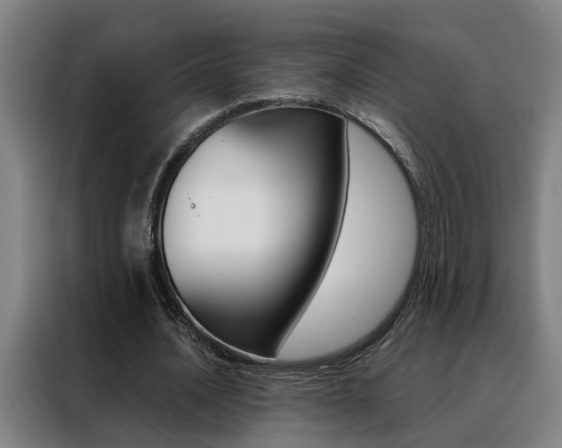 X0000088440628200705220915