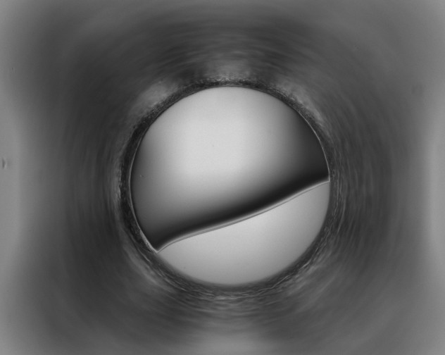 X0000088440631200705220915