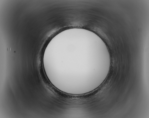 X0000088440632200705220915
