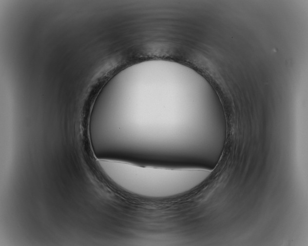 X0000088440635200705220915