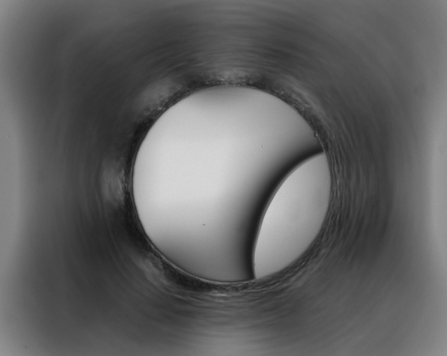 X0000088440644200705220915