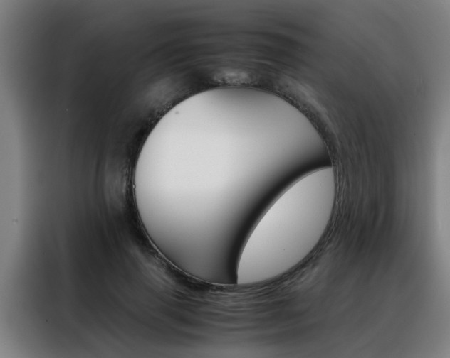 X0000088440645200705220915