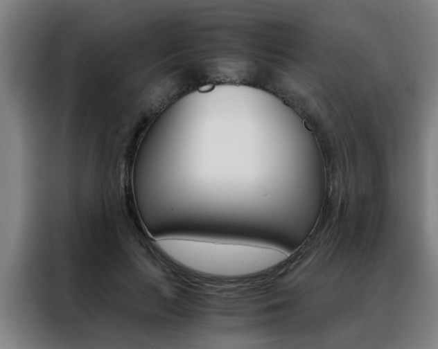 X0000088440647200705220915