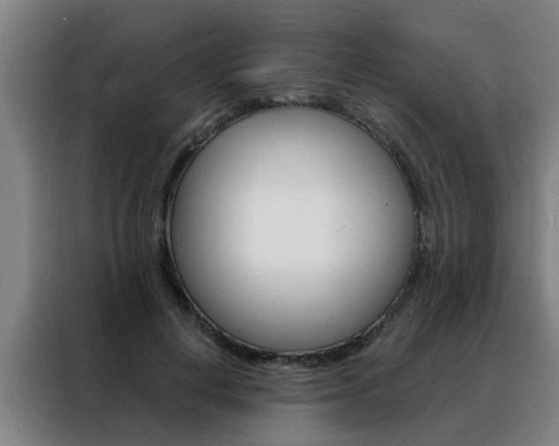 X0000088440648200705220915