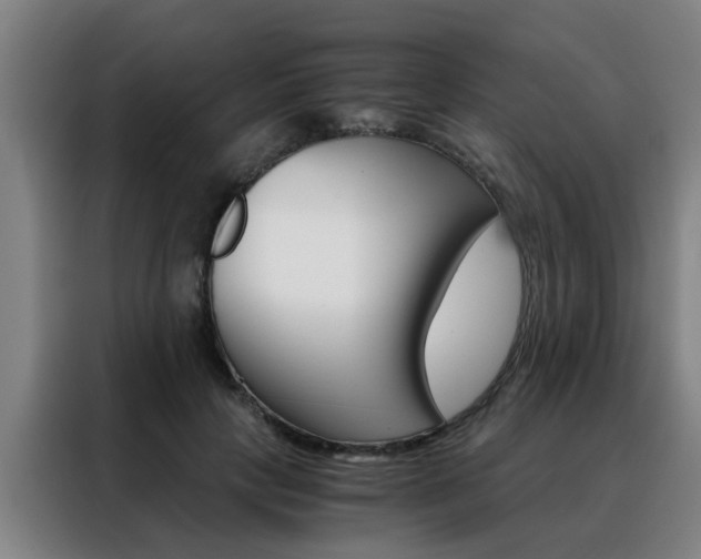 X0000088440649200705220915