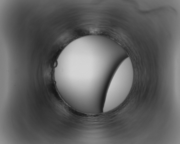 X0000088440650200705220915